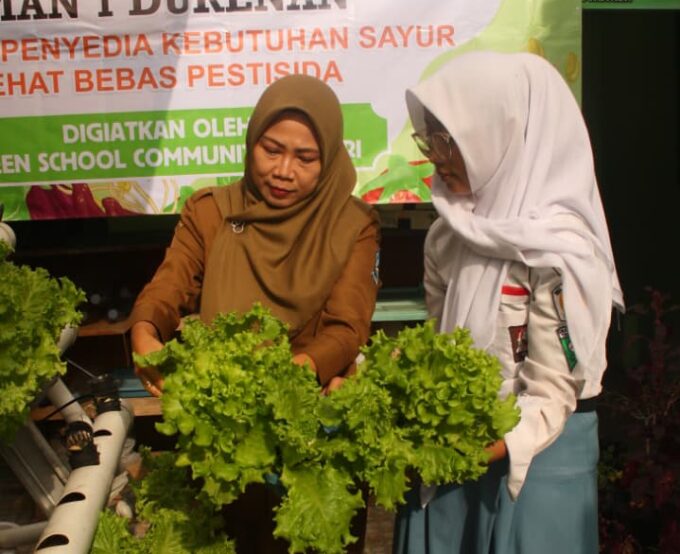 Panen Sayuran Hidroponik, Ciptakan generasi Peduli Lingkungan Dan Kesehatan